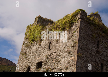 Die Fuchsfalle Burg, Carlingford, County Louth, Irland Stockfoto