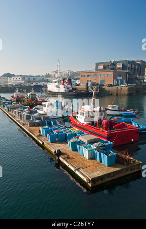 Fischereihafen, Brest (29200), Finistere, Bretagne, Frankreich, Europa Stockfoto