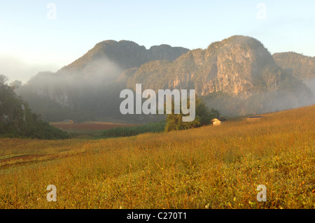 Ansichten und Straßenszenen von Vinales und Vinales Tal-Kuba Stockfoto