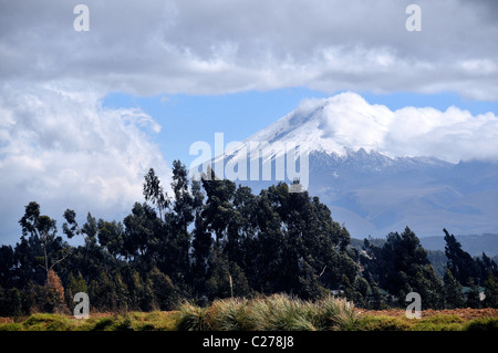 Vulkan Cotopaxi in Wolken, Ecuador Stockfoto