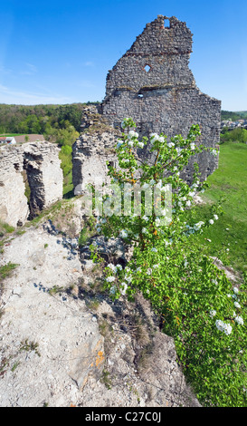 Ansicht der Burgruine (Sydoriv Dorf, Region Ternopil, Ukraine) im Frühjahr. Stockfoto