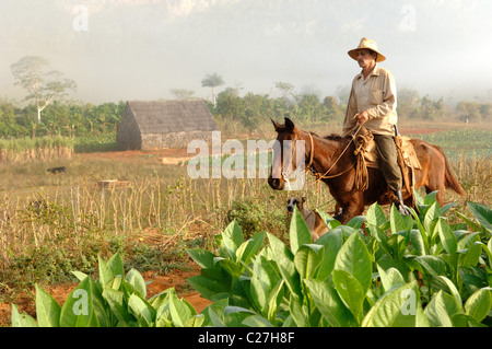 Ansichten und Straßenszenen von Vinales und Vinales Tal-Kuba Stockfoto