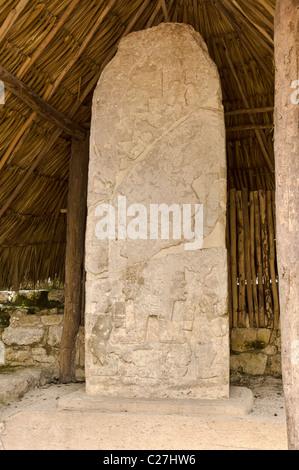 Maya-Glyphen auf eine steinerne Stele, geschnitzte Tiere und Götter, Halbinsel Yucatan, Mexiko - sieben Wunderwelt Stockfoto