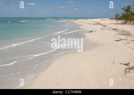 Blick auf Cayo Levisa, Kuba Stockfoto