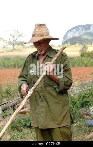 Ansichten und Straßenszenen von Vinales und Vinales Tal-Kuba Stockfoto