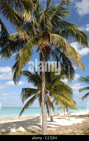 Blick auf Cayo Levisa, Kuba Stockfoto