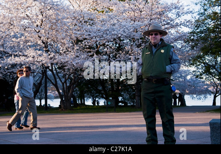 Washington DC, stellt ein Parkranger für ein Bild während der Cherry Blossom Festival 2011 auf der National Mall. Stockfoto