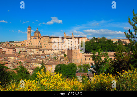 Urbino, Marken, Italien, Europa. UNESCO-Weltkulturerbe Stockfoto