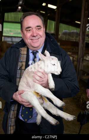 Alex Salmond Highland Wahl tour Stockfoto