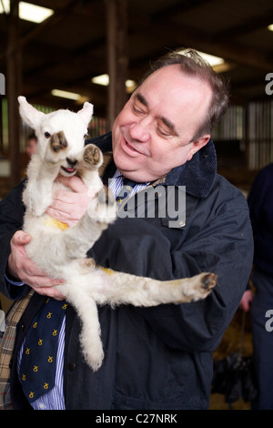 Alex Salmond Highland Wahl tour Stockfoto