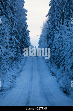 Leere Taiga-Forststraße im Winter, Finnland Stockfoto