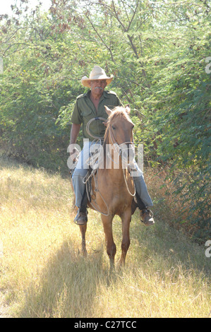 Cowboy auf Pferd Kuba Stockfoto