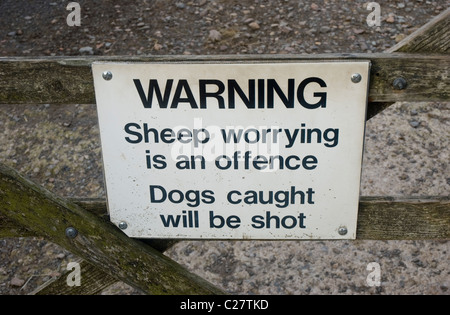 Warnschild über Schafe sorgen in der Nähe von Cumbria Bauernhof. Stockfoto