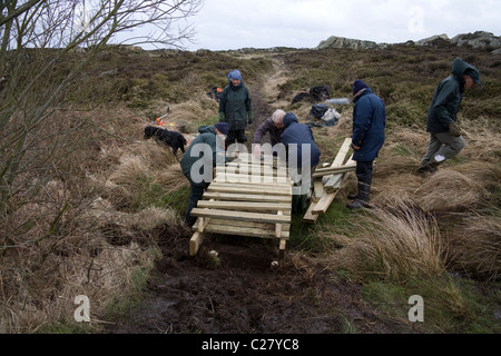 North Wales UK Gruppe von älteren Freiwilligen konstruieren einen Holzsteg über einen schlammigen Abschnitt eines öffentlichen Fußweg auf einem grauen regnerischen Tag Stockfoto