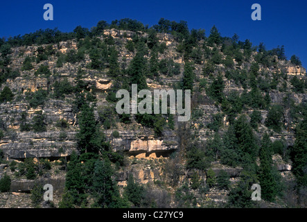 Sinagua indische Klippe Wohnung, Walnut Canyon National Monument, Coconino County, Arizona, USA, Nordamerika Stockfoto