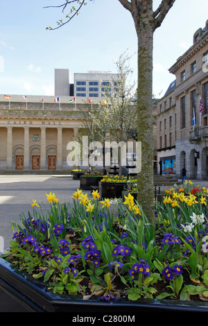 Flower Bed, Stadtplatz, Dundee Stockfoto