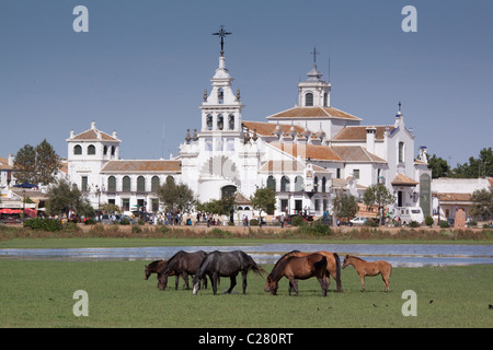 Marismena Pferde grasen in den Sümpfen in El Rocio, Andalusien, Spanien Stockfoto