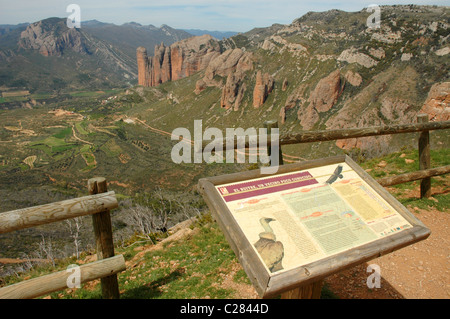 Mallos de Riglos. Huesca Provinz. Spanien Stockfoto