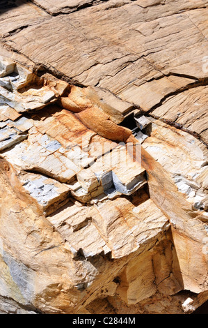 Versteinertes Holz Stockfoto