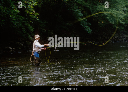 Fliegenfischer Gießen seine Linie in einem Stream in Fairmount Park, Philadelphia, Pennsylvania, USA Stockfoto