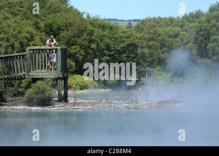 Kuirau Park Thermische Frühlinge und heißen Schlamm bündelt Rotorua Nordinsel Neuseeland Stockfoto