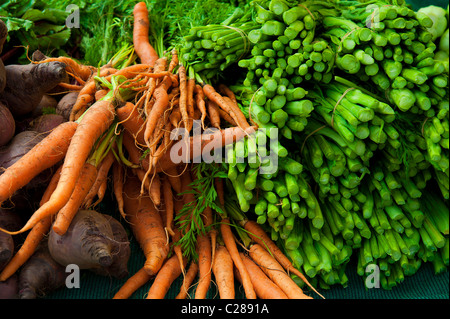 Bio-Gemüse auf dem Bauernmarkt Stockfoto