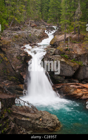 Silber fällt am Fluss Ohanapecosh in Mount Rainier Nationalpark, Washington. Stockfoto