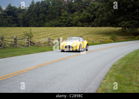 Ein 1960er Jahre AC Cobra getrieben auf den Blue Ridge Parkway Stockfoto