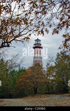 Blick auf Leuchtturm Assateague Insel in Accomack County Virginia Stockfoto