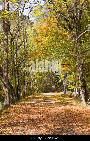 Herbst Schlepptau Kiesweg führt der Paw Paw Tunnel entlang Chesapeake Ohio Canal nationaler historischer Park Allegany County Maryland Stockfoto