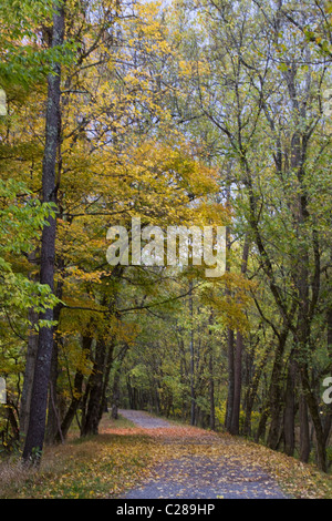 Herbst Schlepptau Kiesweg führt der Paw Paw Tunnel entlang Chesapeake Ohio Canal nationaler historischer Park Allegany County Maryland Stockfoto