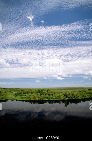 Üppige Sumpf im Everglades-Nationalpark, Florida, USA Stockfoto