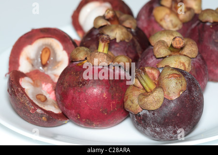 Eine gesunde Portion Güte von Mangostan Stockfoto