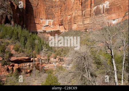 Oberen und unteren Emerald Pool Wasserfall im Zion National Park im zeitigen Frühjahr. Stockfoto