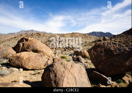 Typische Chukar Lebensraum in der Mojave-Wüste Stockfoto