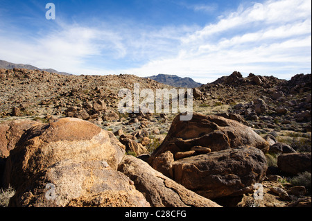 Typische Chukar Lebensraum in der Mojave-Wüste Stockfoto