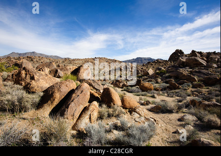 Typische Chukar Lebensraum in der Mojave-Wüste Stockfoto