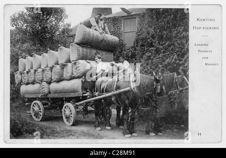 Original Grußkarte mit Kentish-Hopfenpflücker, die die Hopfentaschen für den Markt auf ein Pferd und einen Wagen laden, Anfang des 20. Jahrhunderts, in Kent, England, britische Arbeiter Stockfoto