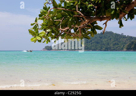 Blick auf Mu Ko Surin Island, Ko Surin, Thailand Khuraburi Phangnga Stockfoto