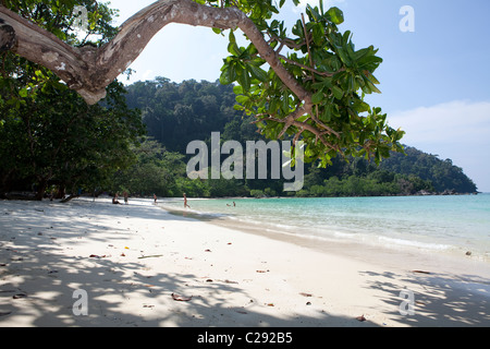 Blick auf Mu Ko Surin Island, Ko Surin, Thailand Khuraburi Phangnga Stockfoto