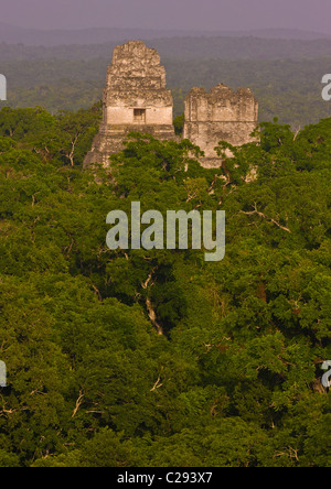 TIKAL in GUATEMALA - Tempel und Dschungel Baldachin Maya Stockfoto