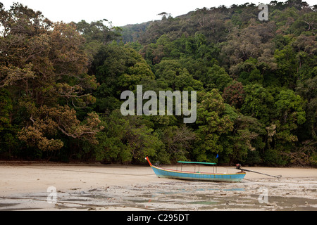 Blick auf Mu Ko Surin Island, Ko Surin, Thailand Khuraburi Phangnga Stockfoto