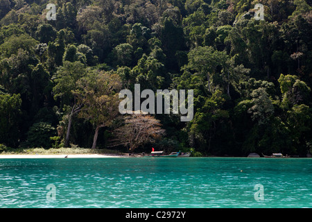 Mu Ko Surin Nationalpark, Khuraburi, Phangnga, Thailand Stockfoto