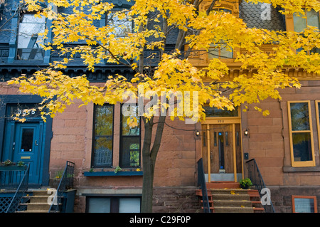 Herbstsaison Plateau Mont-Royal Montreal Stockfoto