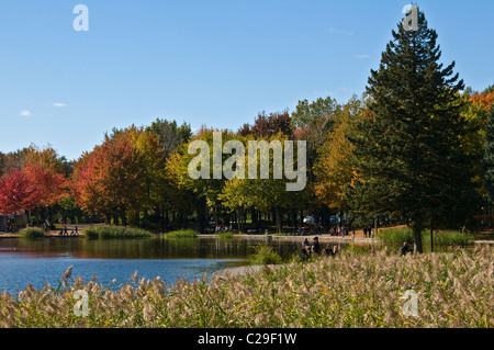 Herbst-Mount Royal Park Montreal Kanada Stockfoto