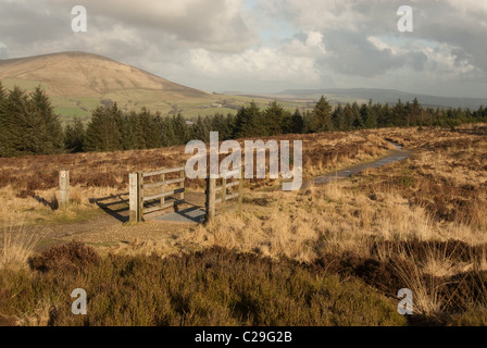 Zeigen Sie in der Nähe von Beacon fiel, Lancashire an Stockfoto