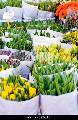 Blumen für den Verkauf auf einem Marktstand in den Niederlanden Stockfoto