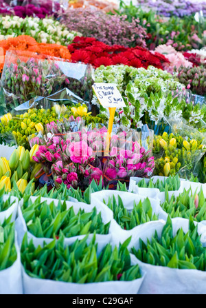 Blumen für den Verkauf auf einem Marktstand in den Niederlanden Stockfoto