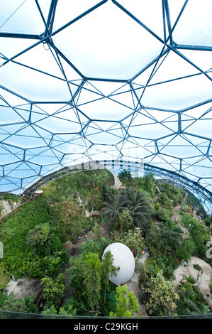 Ein Blick auf die tropischen Biom im Eden Projekt touristische Attraktion und Ökologie-Zentrum, Bodelva, St Austell, Cornwall, England Stockfoto