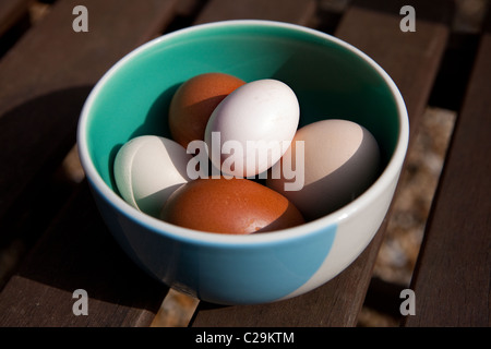 Schüssel mit Freilandhaltung unregelmäßig geformt und bunten Eiern Stockfoto